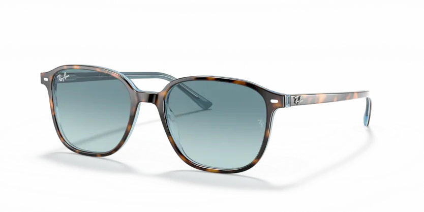 Cолнцезащитные очки Ray Ban RB2193 Leonard